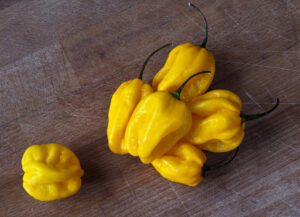 Habanero Caribbean Yellow Pepper Seeds