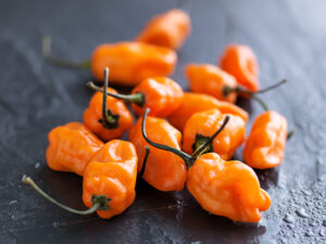 Orange Habanero Pepper Seeds