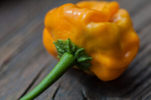 Yellow Scotch Bonnet Pepper Seeds