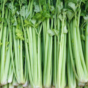 Celery Seeds – Tendercrisp